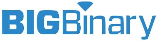 big binary logo
